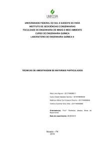 Técnicas de Amostragem de Materiais Particulados: Um Estudo Prático em Engenharia Química