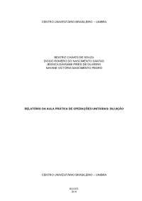 RELATÓRIO DA AULA PRÁTICA  - DILUIÇÃO