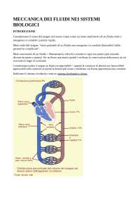 Appunti di fisica medica Scannicchio