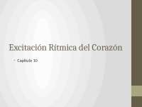 Excitacion rítmica del corazon