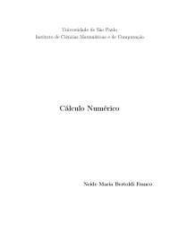 CÁLCULO NUMÉRICO - Neide Maria Bertoldi Franco