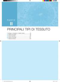 Liebscher & Bracht,set di rulli e sfere (2 pezzi per unità) per l'allenamento delle fasce muscolari, del tessuto connettivo e del metabolismo