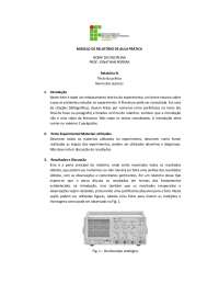 MODELO DE RELATÓRIO DE AULA PRÁTICA