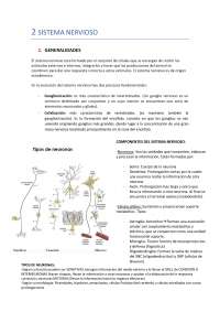 sistema nervioso temas del 3-5 de organografía