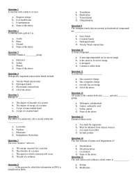 Biochemistry practice questions