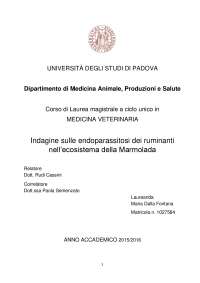 Indagine sulle endoparassitosi dei ruminanti