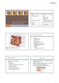 Anatomia, Fisiologia e Bioquímica da Pele: Um Estudo Detalhado