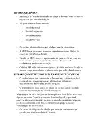 Histologia Básica dos tecidos