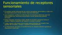 Funcionamiento de los Receptores Sensoriales