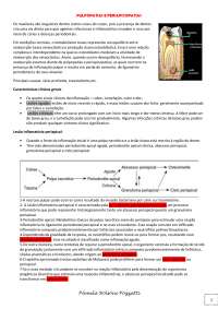 Pulpopatias e periapicopatias