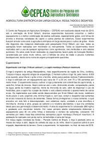 Agricultura Sintrópica em Larga escala