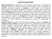 Histologia de Glândulas Exócrinas e Endócrinas: Uma Abordagem Detalhada