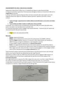 SEQUENZIAMENTO DEL DNA E ANALISI DELLE SEQUENZE