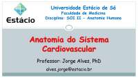 Anatomia do Sistema Cardiovascular: Um Guia Completo para Estudantes de Medicina