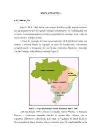 MATA ATLÂNTICA - RESUMO INTRODUÇÃO