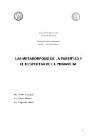 las metamorfosis de la pubertad
