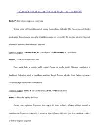 ejercicios textos de cesar