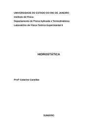 Relatório de física Hidrostática