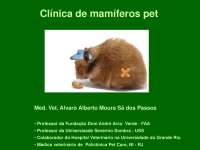 Guia Completo de Cuidados com Mamíferos Silvestres: Nutrição, Saúde e Manejo