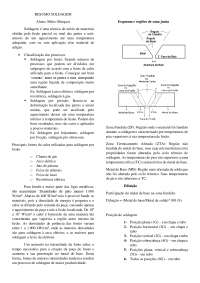 Soldagem Questões (Tecnologia da soldagem)