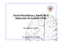 Tema 3 psicologia de la percepcion POWER POINT apuntes de la profesora