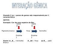 Interação GENICA, epistasia dominante e recessiva