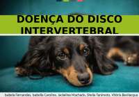 Doença do Disco Intervertebral