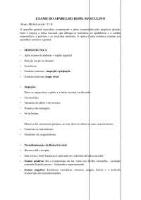 Exame Físico Do Aparelho Reprodutor Masculino