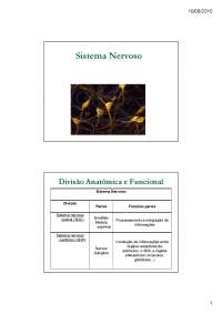 Sistema Nervoso. Divisão Anatômica e Funcional.Sistema Nervoso. Divisão. Funções gerais
