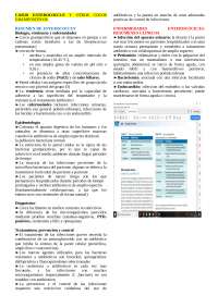 Enterococcus y otros cocos grampositivos: Biología, virulencia y enfermedades