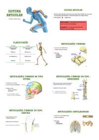 fisioterapia sistema articular