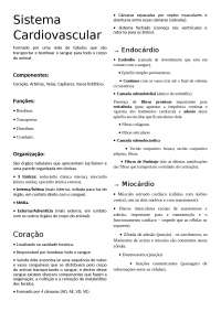 Resumo Sist. Cardiovascular Histologia