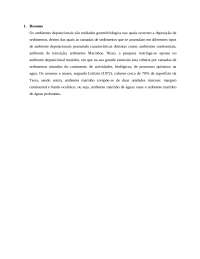 Ambiente deposicional Marinho