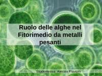Alghe e fitorimedio da metalli pesanti
