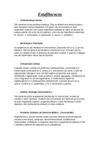 estafilococos em microbiologia veterinaria