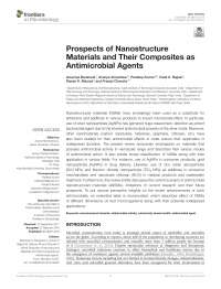 Prospects of Nanostructure Materials and Their Composites as Antimicrobial Agents