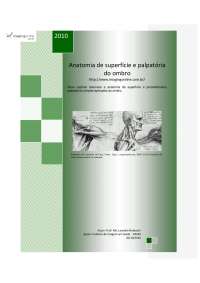 FISIOTERAPIA NA SAÚDE