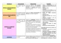 Apuntes Orgánulos Celulares. Biología bachillerato