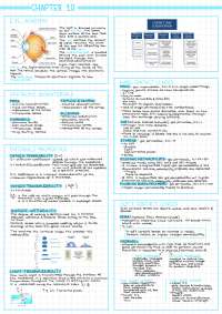 contact lenses: hard and soft