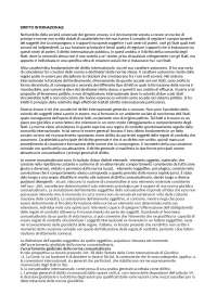 Diritto Internazionale: Le Fonti del Diritto Consuetudinario