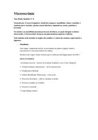 Viscerocranio IMPORTANTE
