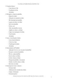 Apostila Basica BrOffice calc