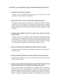 Metabolismo: bioenergética/ respiração celular