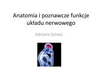 Kardiologia fizjoterapia