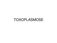 Toxoplasmose: Classificação, Ciclo de Vida, Transmissão, Diagnóstico e Tratamento - Prof. 