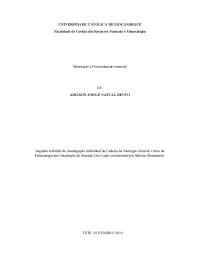 Mineracao e Processamento mineral
