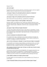 preguntas final de temas de botanica