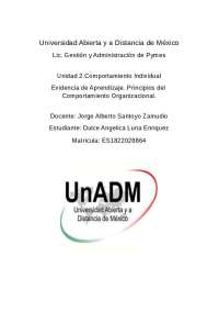 Evidencia de aprendizaje, unidad 1, actividad 2