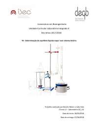 Determinação do equilíbrio líquido-vapor num sistema binário