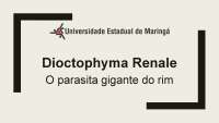 Dioctophyma Renale, O parasita gigante do rim.